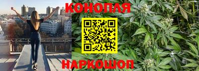 мяу мяу мука Новодвинск