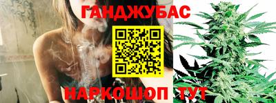 ГАЛЛЮЦИНОГЕННЫЕ ГРИБЫ Новозыбков
