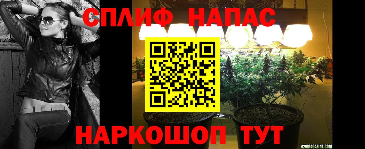 МАРИХУАНА планчик Сочи